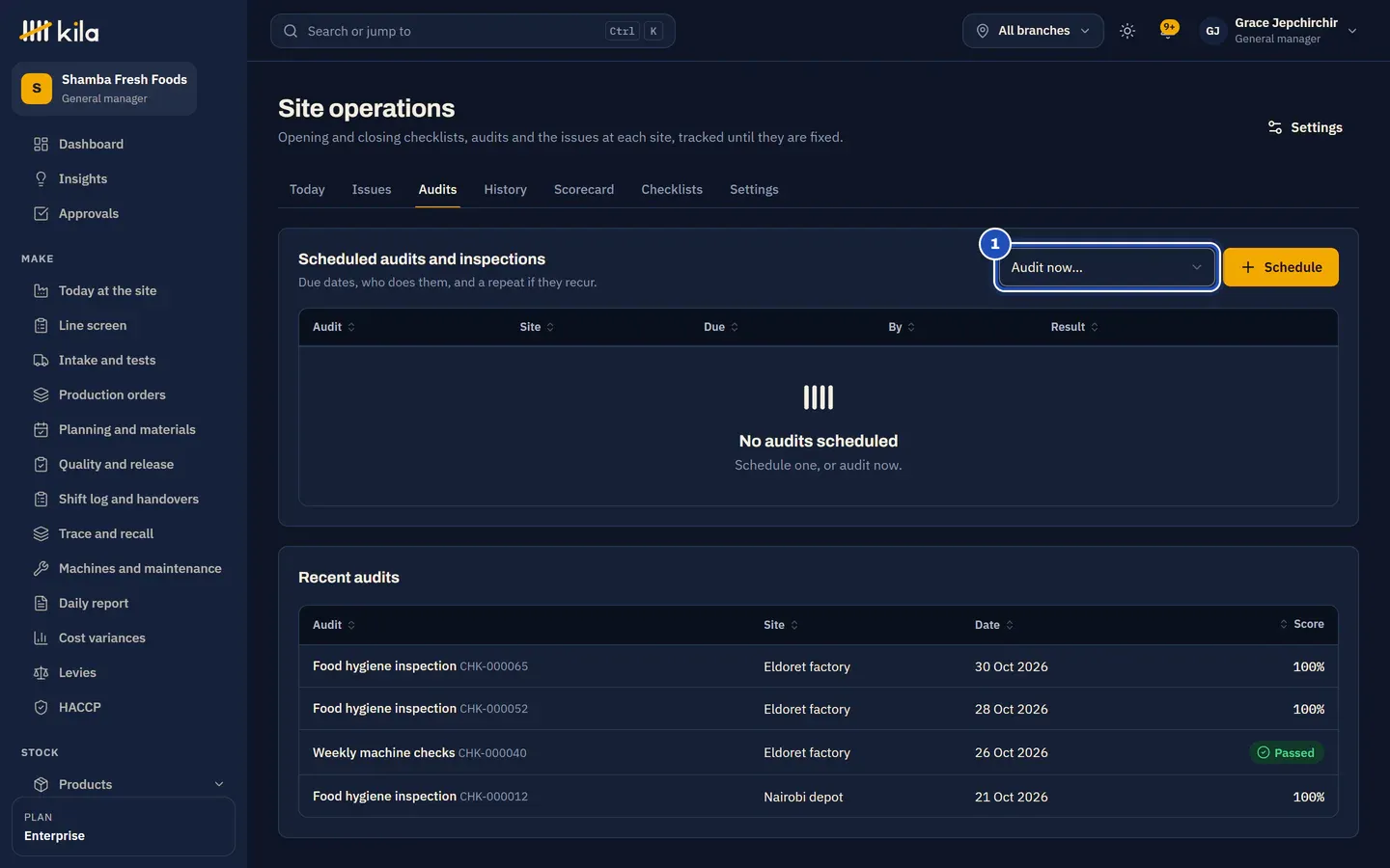 Site operations, Audits: scheduled audits and recent audits, with Audit now marked 1.