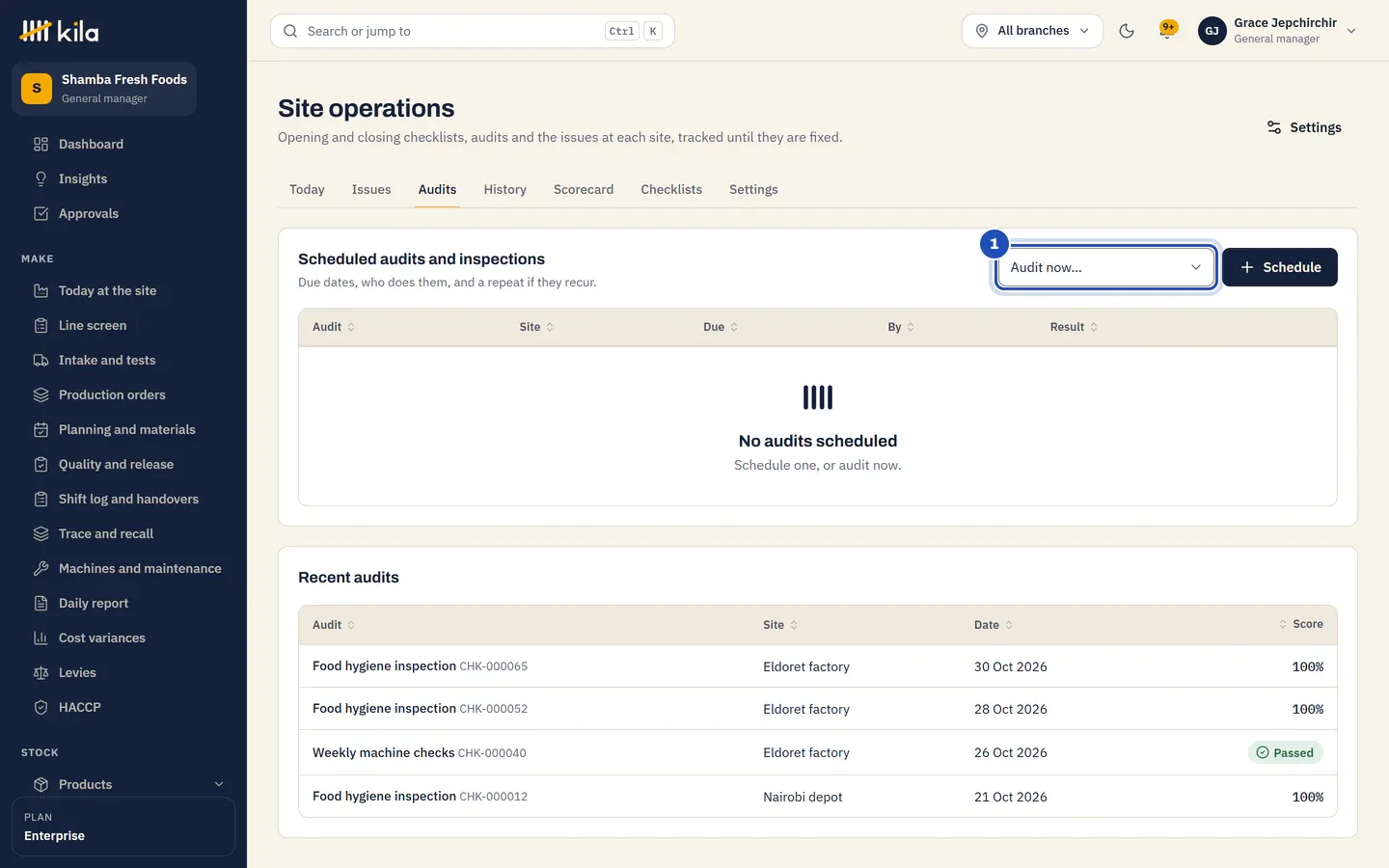 Site operations, Audits: scheduled audits and recent audits, with Audit now marked 1.