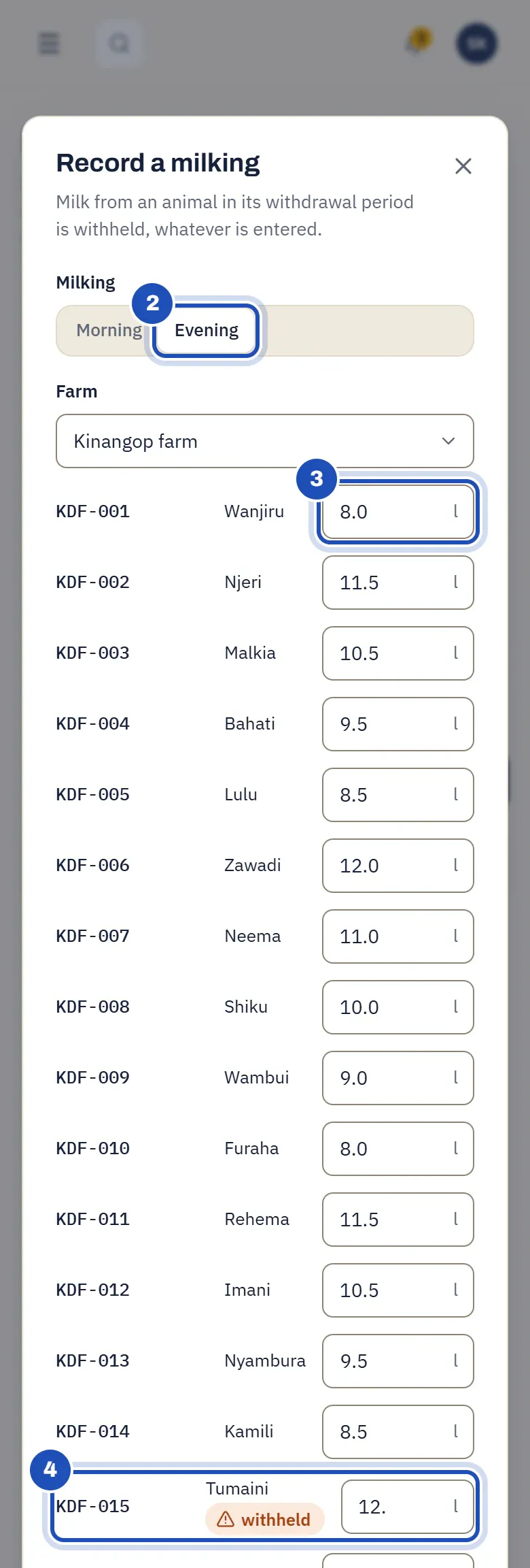 Record a milking at Kinangop Dairy Farm on a phone: the evening milking chosen (2), litres typed for each cow by ear tag, such as 8 litres for KDF-001 Wanjiru (3), and KDF-015 Tumaini marked withheld (4).